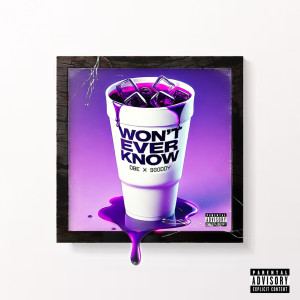 D-Block Europe的專輯Won't Ever Know (Explicit)