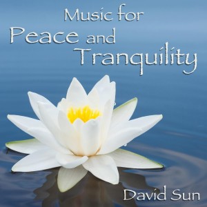 ดาวน์โหลดและฟังเพลง Gymnopédie No. 1 - Erik Satie พร้อมเนื้อเพลงจาก David Sun
