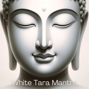 收聽Meditation Mantras Guru的Soulful Melody of Liberation歌詞歌曲