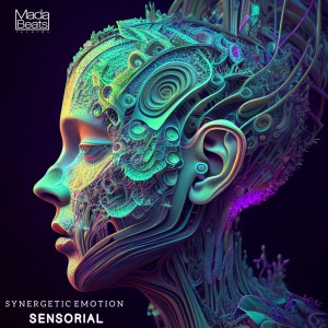 Dengarkan Sensorial lagu dari Synergetic Emotion dengan lirik