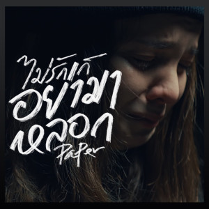 ดาวน์โหลดและฟังเพลง ไม่รักก็อย่ามาหลอก feat. F FIN พร้อมเนื้อเพลงจาก PAPER