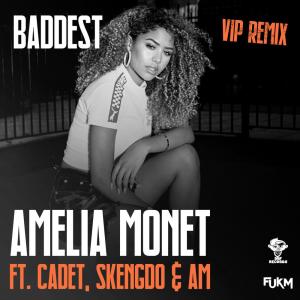 Amelia Monét的專輯Baddest (VIP Remix)