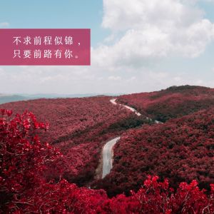 Dengarkan lagu 四季予你（热播版） nyanyian 朱朱同学 dengan lirik