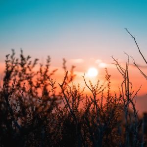 Listen to Wind Cuddles song with lyrics from Nature Sounds Nature Music
