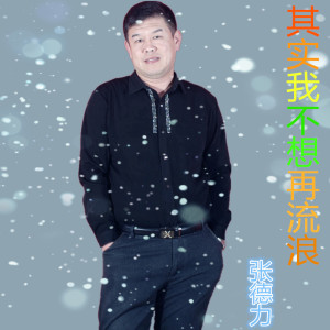 Dengarkan 其实我不想再流浪 lagu dari 张德力 dengan lirik