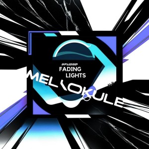 ดาวน์โหลดและฟังเพลง Fading Lights (Original Mix) พร้อมเนื้อเพลงจาก Spaded