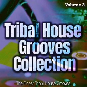 Tribal House Grooves Collection, Vol. 2 - the Finest Tribal House Grooves dari Various