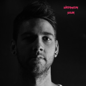收聽Paul Bakker的Watermelon Sugar歌詞歌曲