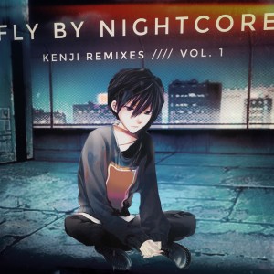 Dengarkan lagu Sunflower (Kenji Remix) nyanyian Fly By Nightcore dengan lirik