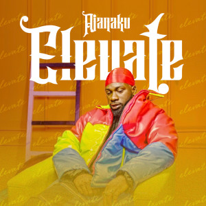 ดาวน์โหลดและฟังเพลง Elevate พร้อมเนื้อเพลงจาก Ajanaku