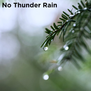 Listen to Bird Sounds in Storm song with lyrics from Relaxing Rain Sounds