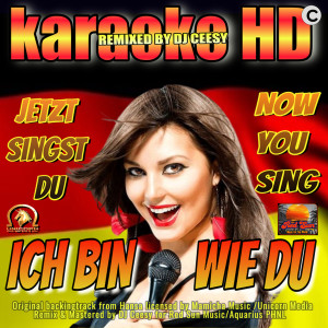 Album Ich bin wie du (2022 remastered & remixed - Karaoke Version) from DJ Ceesy