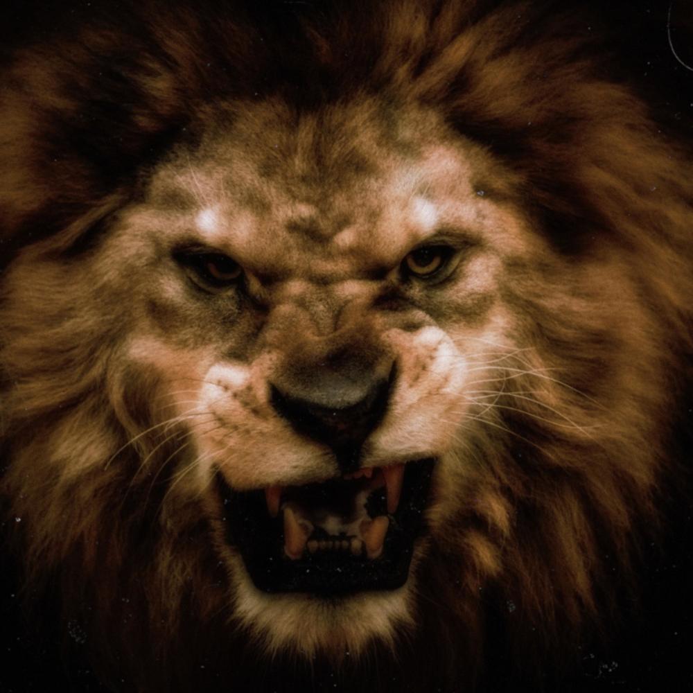 Mufasa (Explicit)