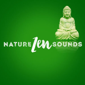 收聽Meditate to Sounds of Nature的Birds by a Runnel歌詞歌曲