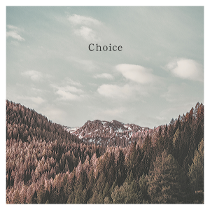 Listen to Choice (完整版) song with lyrics from 超新星之子