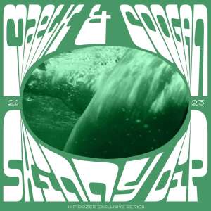 Listen to Skinny Dip song with lyrics from Maelk