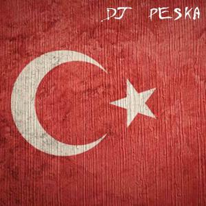 Listen to Turkish Shit (Explicit) song with lyrics from Dj Peska