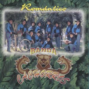 Listen to Tres Veces Señora (Banda) song with lyrics from Banda Cachorros