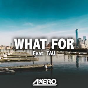 Listen to What For song with lyrics from Axero