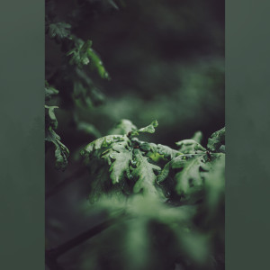 Listen to Drift Away song with lyrics from Spa Music Relaxation