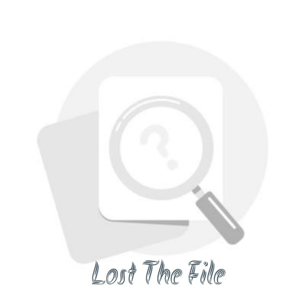 Lost The File