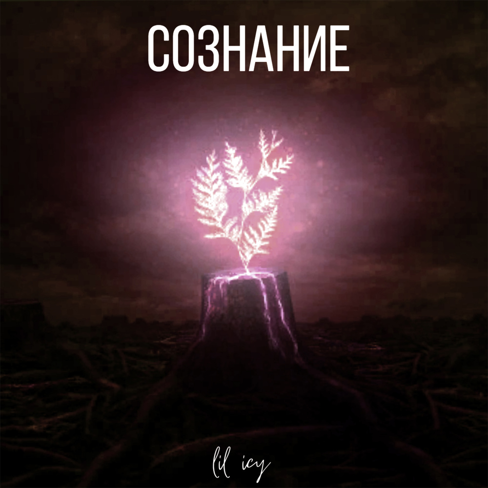 Лин