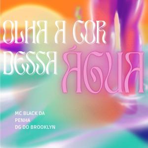 ดาวน์โหลดและฟังเพลง Olha a cor dessa água x Sai da frente do mano (feat. MC BLACK DA PENHA & DG DO BROOKLYN) พร้อมเนื้อเพลงจาก D J BH