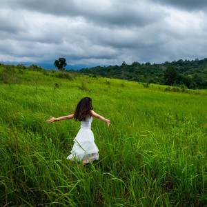 อัลบัม Natural Harmony: Ambient Music for Soothing Relaxation ศิลปิน Ambient Music Collective
