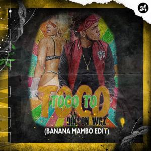 Dixson Waz的专辑Toco Toco To (Banana Mambo Techno Edit)