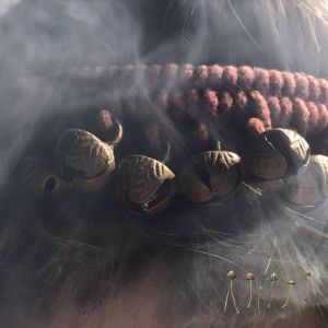 收聽Heith的pointers歌詞歌曲