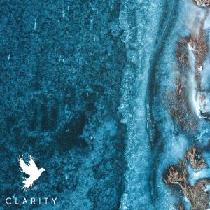 Album Clarity from Sizzle Bird