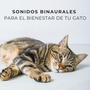 Album Sonidos Binaurales Para El Bienestar De Tu Gato oleh Realidad Binaural