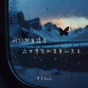 Album 我们都要接受这世界突如其来的失去 from 黑芒ManGo