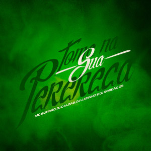 Listen to Toma Na Sua Perereca (Explicit) song with lyrics from MC Gordão