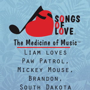 Album Liam Loves Paw Patrol, Mickey Mouse, Brandon, South Dakota from Thomas Jones