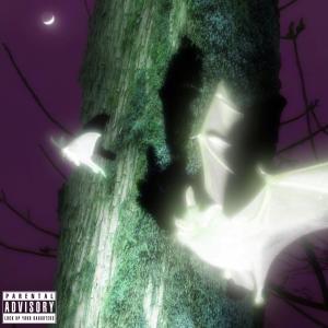 收聽bnran的noctámbulo (Explicit)歌詞歌曲