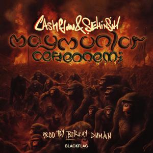 Dengarkan lagu Maymunlar Cehennemi (Explicit) nyanyian Cash Flow dengan lirik