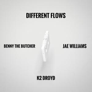 ดาวน์โหลดและฟังเพลง Different Flows (feat. Benny The Butcher) พร้อมเนื้อเพลงจาก Jae Williams