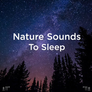 收聽Yoga的Therapeutic Music Massage歌詞歌曲
