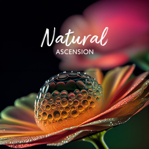 Album Natural Ascension (Awakened by Nature Sounds, Purify Your Mind and Soul) from 