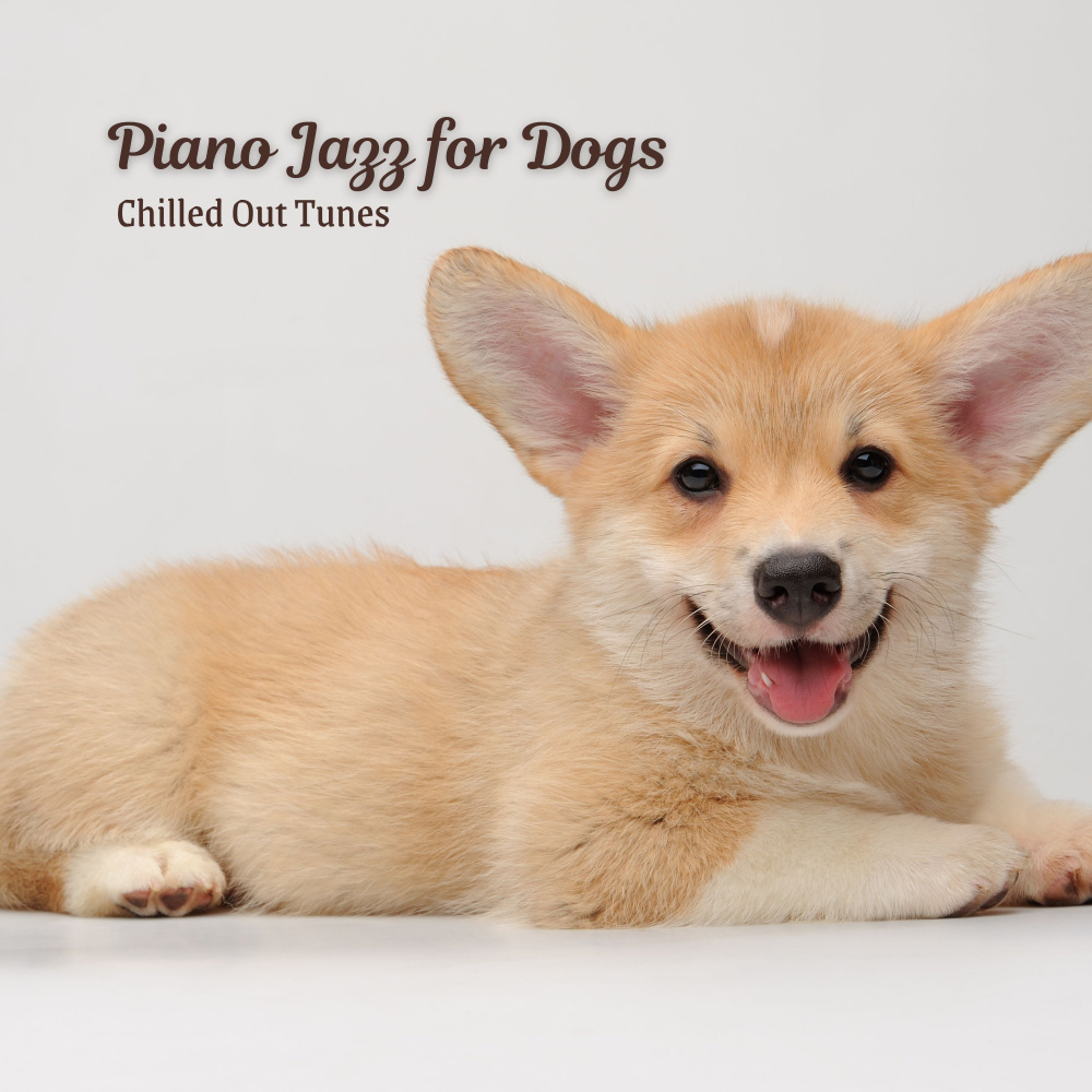Cool Canine Piano