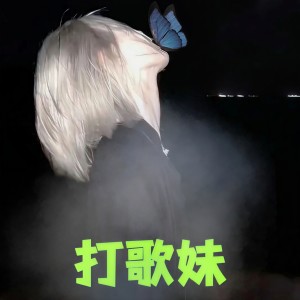 Listen to 打歌妹 song with lyrics from 菜阮阮