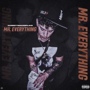ดาวน์โหลดและฟังเพลง MR.EVERYTHING (Explicit) พร้อมเนื้อเพลงจาก GarrettMakesPlays