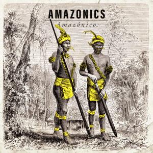 ดาวน์โหลดและฟังเพลง Precious พร้อมเนื้อเพลงจาก Amazonics