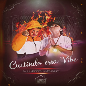 收聽Mc lk do dick的Curtindo Essa Vibe歌詞歌曲