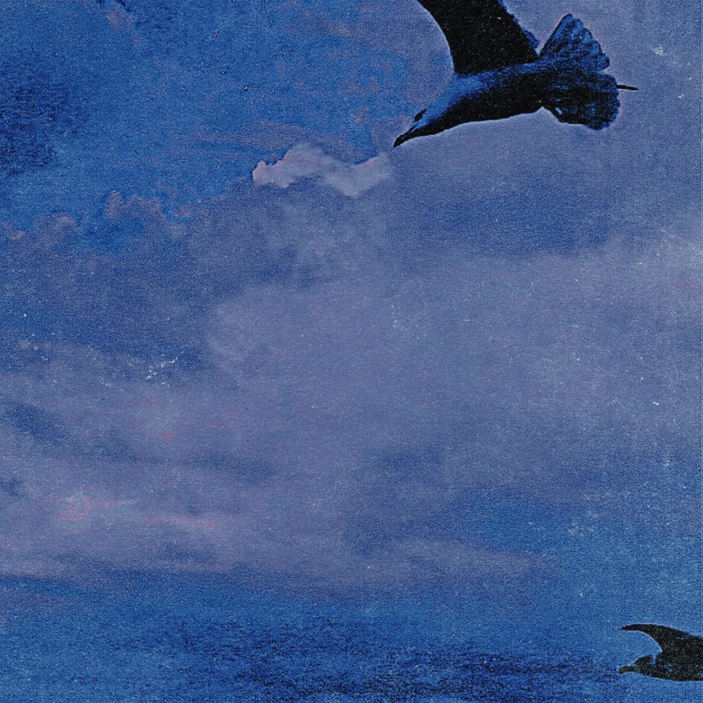 Flight