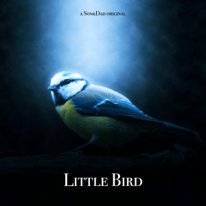 Son&Dad的專輯Little Bird