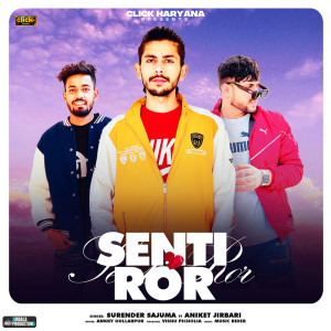 Listen to Senti Ror song with lyrics from Surender Sajuma