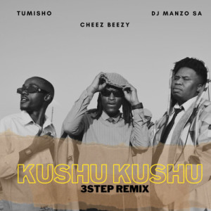 DJ Manzo SA的專輯Kushu Kushu 3 Step Remix