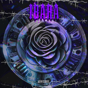 Album ibara from YTRkicks
